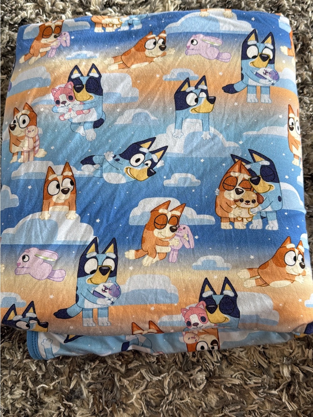 Little Sleepies Blue and Orange Cartoon Puppy Throw Blanket